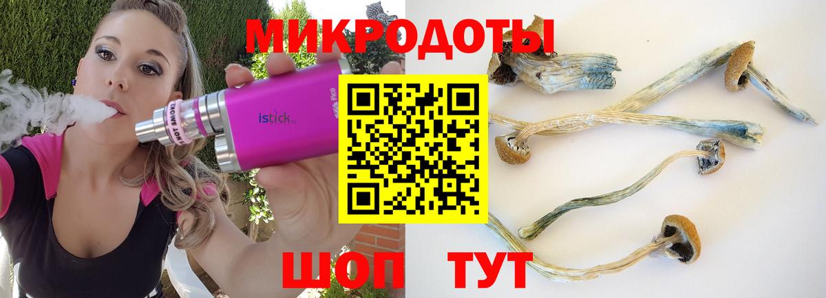 Галлюциногенные грибы Cubensis Буйнакск